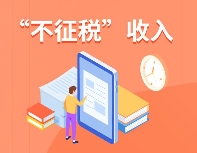 什么是不征稅收入